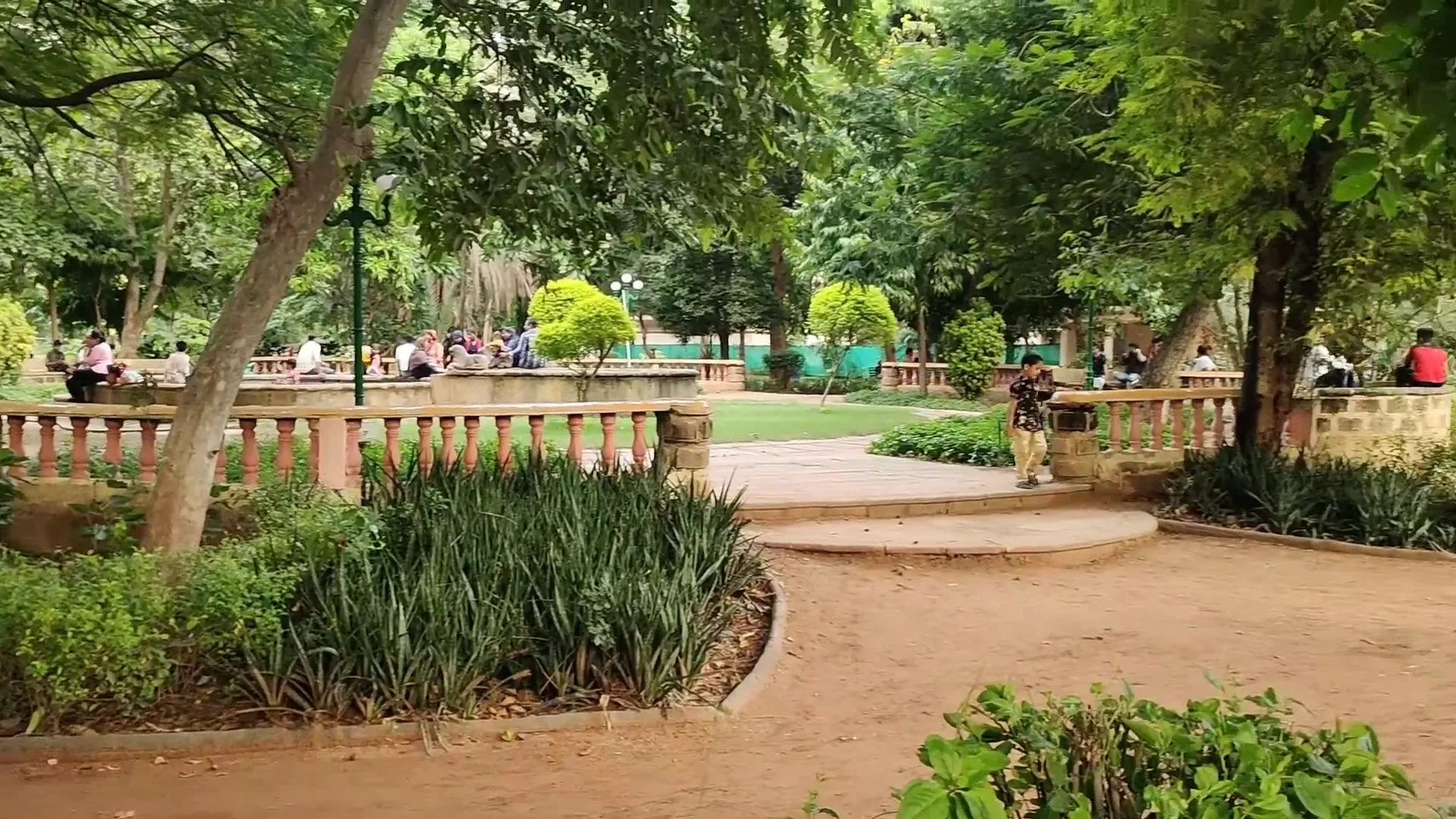 Law Garden Ahmedabad(2)