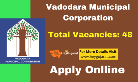 Vadodara Municipal Corporation (VMC) Recruitment 2025, Apply Online