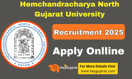 HNGU Patan Recruitment