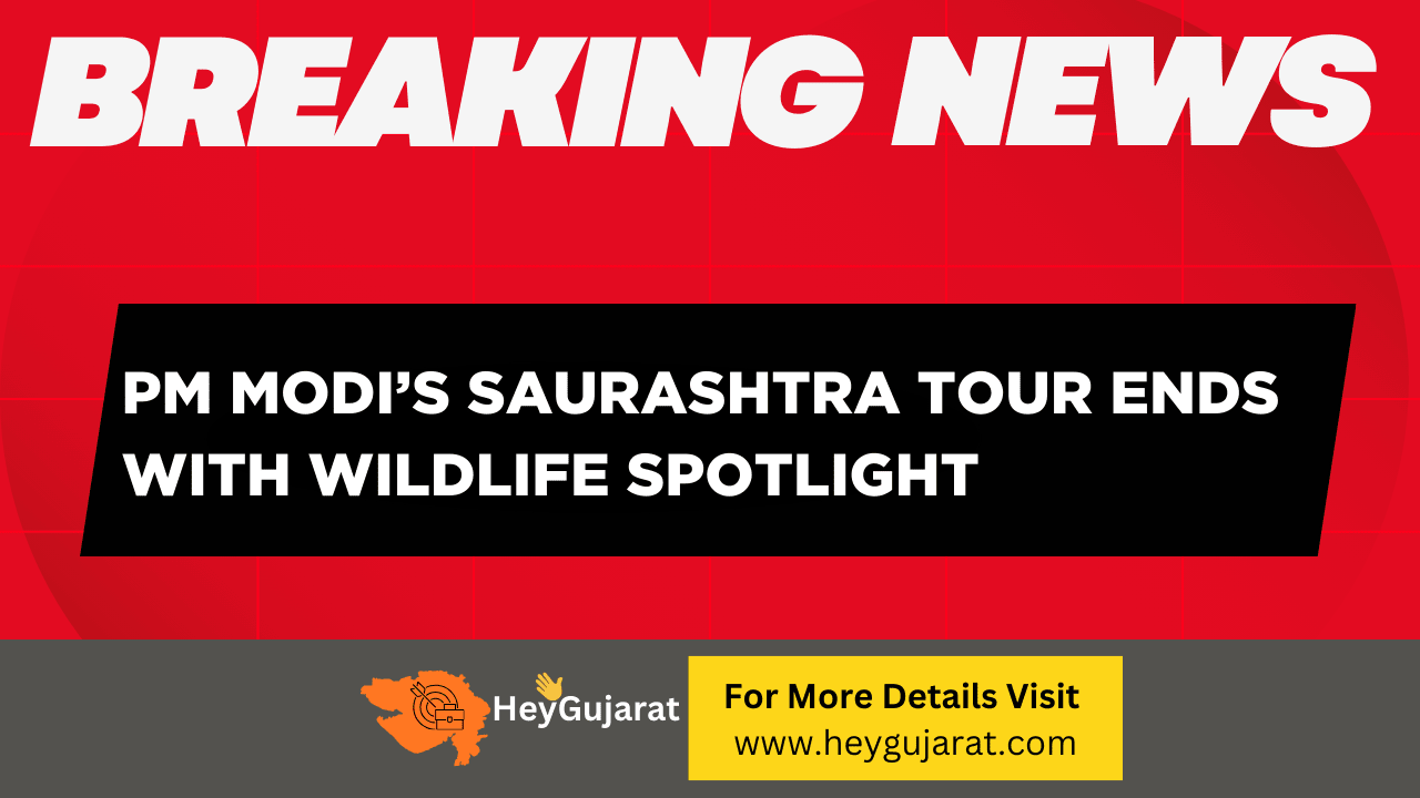 PM Modi Saurashtra Tour Ends with Wildlife Spotlight